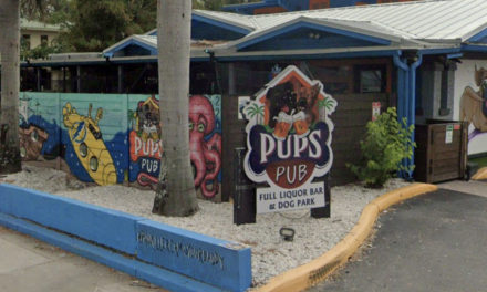Pups Pub Orlando: A Tail-Wagging Social Experience in Downtown