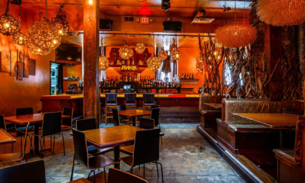 Discover a Sushi Paradise at Shakai Sushi Lounge, Downtown Orlando